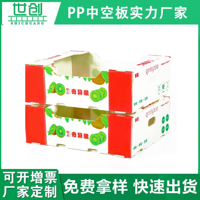 奇异果.jpg