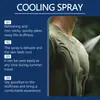 Spray Refrigerante Jaysuing Portátil para Exteriores con una Sensación Fresca y Calmante, No Pegajoso para Uso Externo Diario