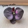Cabeça de Flor de Orquídea Phalaenopsis Artificial, Textura de Película Impressa em 3D, Buquê Exquisito para Decoração de Casamento e Lembrança