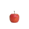 Chumfun Talla de Madera Pintada a Mano Manzana Pequeña Modelo de Fruta Artificial Adornos Decorativos Accesorios Manzana Verde Manzana Roja