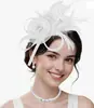 Nova Faixa de Cabeça Estilo Europeu e Americano Malha de Noiva Adorno de Pena Adorno Retrô Flor de Cabeça para Performance Acessórios de Cabelo Faixa de Cabeça Grampo de Cabelo para Mulheres