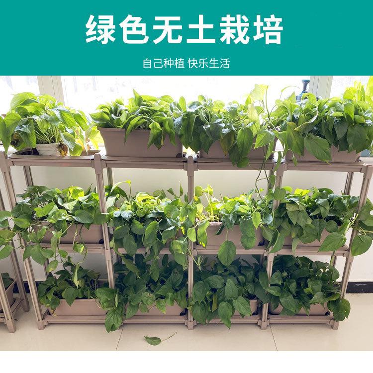 去掉天然健康  下面小字改成  自己种植 放心吃