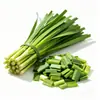 Cebolinha congelada, segmentos de cebolinha congelados rapidamente, pó de cebolinha, flocos de cebolinha, vegetais congelados, atacado de fábrica, uso comercial para recheios de pastel