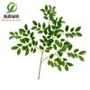 Dongguan planta verde artificial Árbol grande rama plana Hoja Naranja Hoja de Arce Higuera Francesa hoja de té hoja de plástico