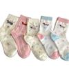 Calcetines de media longitud con diseño de salchicha de cachorro para mujer, modernos calcetines Zhuji para primavera, verano y otoño, japoneses, bonitos, para niñas.