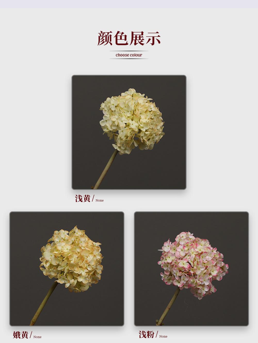 54.拉力花_03.jpg