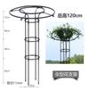 Soporte para sombrillas de jardinería transfronteriza Soporte para rosas trepadoras Soporte para rosas trepadoras Soporte para clemátides Soporte para plantas al aire libre