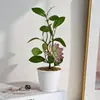 Plantas Suculentas Pequenas em Vasos com Folhas, Flores Artificiais Criativas para Interior de Casa, Adereços para Fotografia, Decorações de Mesa para Sala de Estar