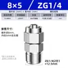 Conector de Tubo de Ar de Torção Rápida em Aço Inoxidável 304 Zhuoji, Tipo Rosca Reta com Porca de Travamento de Inserção Rápida para Tubo Pu Ptfe Nylon Conector Rápido