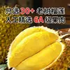 Almofada Dourada Tailandesa Carne de Durian Semente Importada Sem Caroço Congelado Frio Fruta Fresca Amadurecida na Árvore SF Express Frete Grátis Comercial