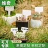 100 etiquetas blancas en forma de T para jardinería, etiquetas de PVC para plantas y flores, tarjetas de flores de 4,3 x 7 cm
