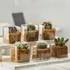 Jarrón de Vidrio Transparente Simple Moderno Suculenta Cactus Planta Hidropónica Maceta Cuadrada Jardinería Botella Ecológica Venta al por Mayor