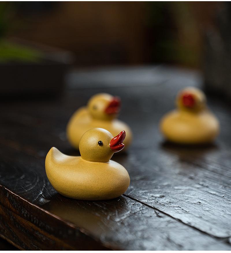小黄鸭20210806 (16).jpg