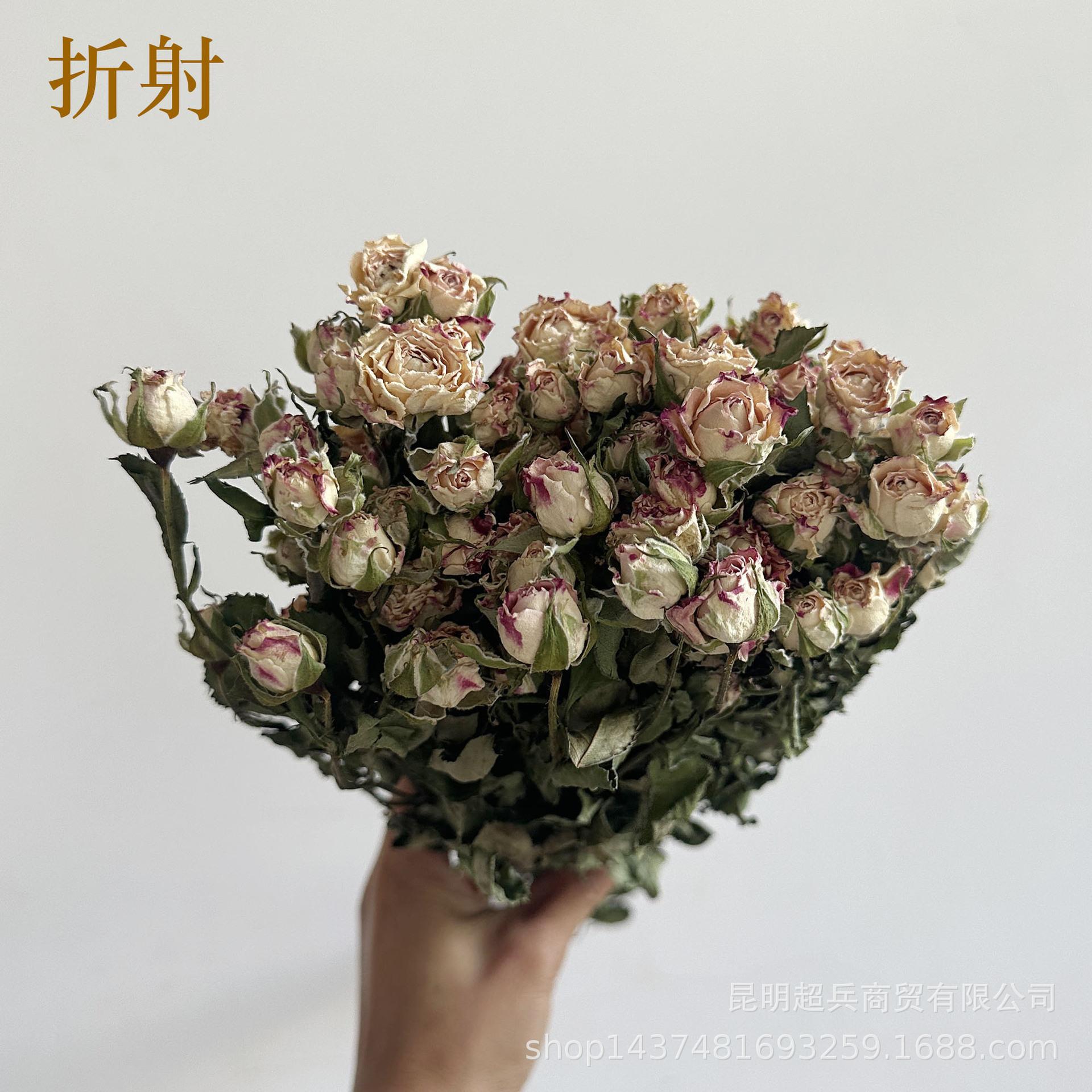 微信图片_20240906111300.jpg