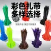 Nuevas bridas de nylon estándar nacional 3*100, juego de 100 piezas en morado, naranja, rosa y marrón, al por mayor