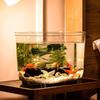 Tanque de peixes PET transparente sala de estar pequeno aquário de mesa tanque de tartaruga tanque de peixes dourados à prova de gotas paisagem hidropônica tanque ecológico