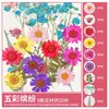 Paquete de Materiales DIY de Flores Secas Flores Prensadas Hechas a Mano Flores Conservadas Marcadores de Libros de Flores Prensadas Hojas de Árbol Real Plantas Pegatinas de Resina Maquillaje Facial