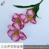 Tulipa Flor de Três Pétalas Duas Folhas Tulipa Florindo Cinco Flores Decoração de Sala de Estar em Casa Flor Artificial Flor de Casamento Obra de Arte Flor de Seda