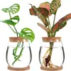Florero de Vidrio Transparente Hidropónico Contenedor para Plantas Verdes Oficina Arreglo Floral Decoración de Escritorio Manualidades Suministro Transfronterizo