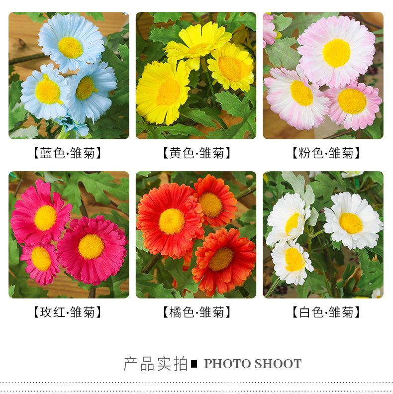 未标题-1_05.jpg