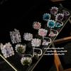 Pendientes Alexander Dopamina con Piedras Preciosas Grandes Familia Rica Chapados en Oro Oro de 18 Quilates Morado Pavo Real Zirconia Morada