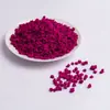 Vendas Diretas da Fábrica e Atacado de Cubos de Pitaya Liofilizada e Ingredientes para Panificação de Pitaya Desidratada