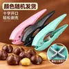 Ferramenta Abridora de Castanhas para Uso Doméstico, Ferramenta para Descascar Castanhas, Faca de Corte Cruzado para Abrir Castanhas, Ferramenta Abridora de Casca de Castanha, Clipe para Castanhas