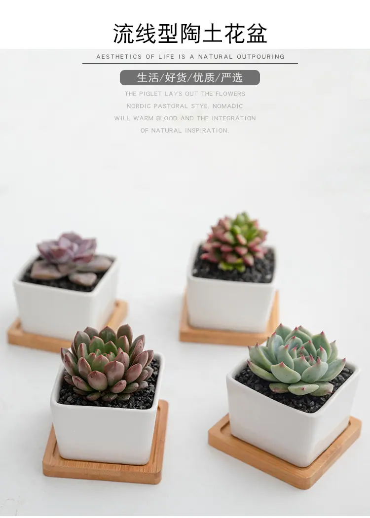 花盆7_05.jpg