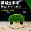 Musgo Especial para Paisajismo de Plantas de Acuario Plantas Acuáticas Plantas Reales Recipiente para Esconder Peces y Camarones Casa para Camarones Casa para Esconder Peces Pequeños Adornos Pequeños
