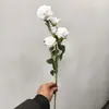Combinación de Flores Artificiales Blancas Magnolia Phalaenopsis Rosa Diente de León Decoración Escénica de Boda Material de Flor Artificial Fabricante