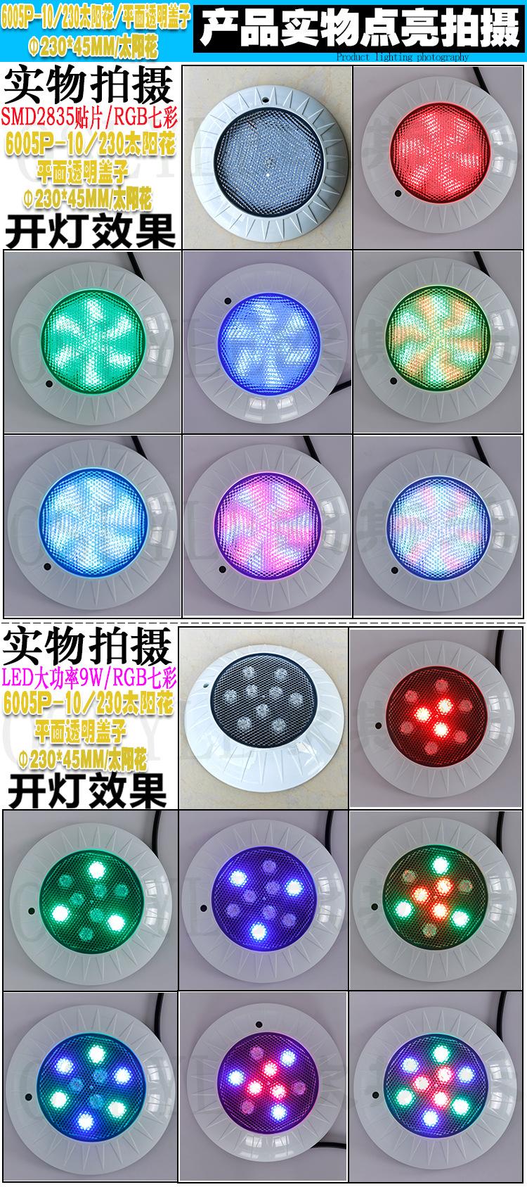 23年平面透明盖-230太阳花-230叶子-260叶子-详情