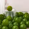 Cerimônia de volta às aulas corrente de balões rabo de dopamina arranjo birthday decoração de parede de fundo para sala de aula de jardim de infância