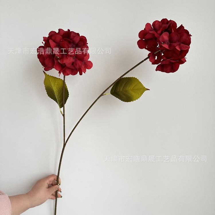 微信图片_202303211636143_副本