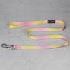 Correa para Mascotas Color Degradado Cuerda para Pasear Perros al Aire Libre Juego de Correa y Collar Arnés de Pecho para Perros Pequeños y Medianos Correa para Perros