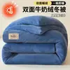 Núcleo de colcha de terciopelo de leche, franela de doble cara, colcha de invierno gruesa, colcha de primavera y otoño para dormitorio de estudiante, colcha de algodón cálido, protector de colchón