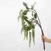 Colgante de planta Fruto de aliso Pegamento suave Fruto de frijol del amor Colgante de pared Decoración de paisajismo Accesorios para arreglos florales Seda suave