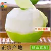 Peras Auténticas Cuiguan de Dangshan, Fruta Fresca de Temporada, Caja Completa de 4.5 kg de Peras Fragantes