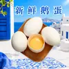 Huevos de ganso frescos de Heze, Shandong, disponibles para dropshipping, 12 piezas, 140-160 g, huevos de ganso crudos, productos agrícolas frescos, huevos de ave frescos