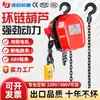 Polipasto Eléctrico de Cadena 220V 1 Tonelada 2 Toneladas 3 Toneladas Grúa de Elevación Pequeña para Hogar Polipasto Eléctrico 380V Cadena Invertida