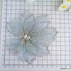 Nuevo Tocado de Malla Retro con Perlas Estilo Coreano Accesorio para el Cabello de Novia Accesorios para Vestido de Boda Venta Directa de Fábrica
