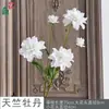 Flores de Lisianthus Artificiales de 5 Cabezas con Hojas, Flores Decorativas para Bodas, Accesorios de Fotografía, Decoración del Hogar, Sala de Estar, Arreglos Florales para Centros Comerciales