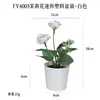 Más de 100 Tipos de Flores Artificiales y Plantas Verdes, Combinaciones de Plantas Artificiales en Maceta de Plástico, Flores Artificiales de Venta Caliente Transfronteriza, Mini Bonsáis Artificiales, Fuentes de Suministro