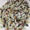 Piedra Volcánica y Piedra de Arroyo para Paisajismo de Acuario, Grava de Fondo sin Lavar, Piedra Ecológica Tradicional con Filtro para Plantas Acuáticas para Tortugas