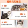 Comida para Gatos P Paquete Grande para Gatitos, Fórmula de Precio Completo para Aumento de Peso y Desarrollo Facial, Adecuada para Gatos Callejeros Rurales, Talla L