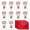 Novo Conjunto de Cartão Envelope Animal de Desenho Animado Tamanho Grande com Texto Engraçado Cartão de Aniversário Pegadinha Criativo e Interessante