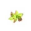 Diadema Cruzada Ins Doble Flor de Orquídea Tailandesa Pinza para el Cabello Flor de Cabeza Bohemia Pinza de Borde Accesorios para el Cabello de Vacaciones en la Playa para Mujeres