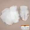 Pluma blanca autoproducida DIY accesorios de ropa de plumas hechos a mano accesorios para joyería de cabeza material productos de venta caliente