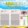 Libro de Gran Capacidad de 20 Filas de Pestañas Postizas: Cuatro Bellezas - Diao Chan, Yu Huan, Zhao Jun y Xi Shi - Paquete Mixto de Racimo Único