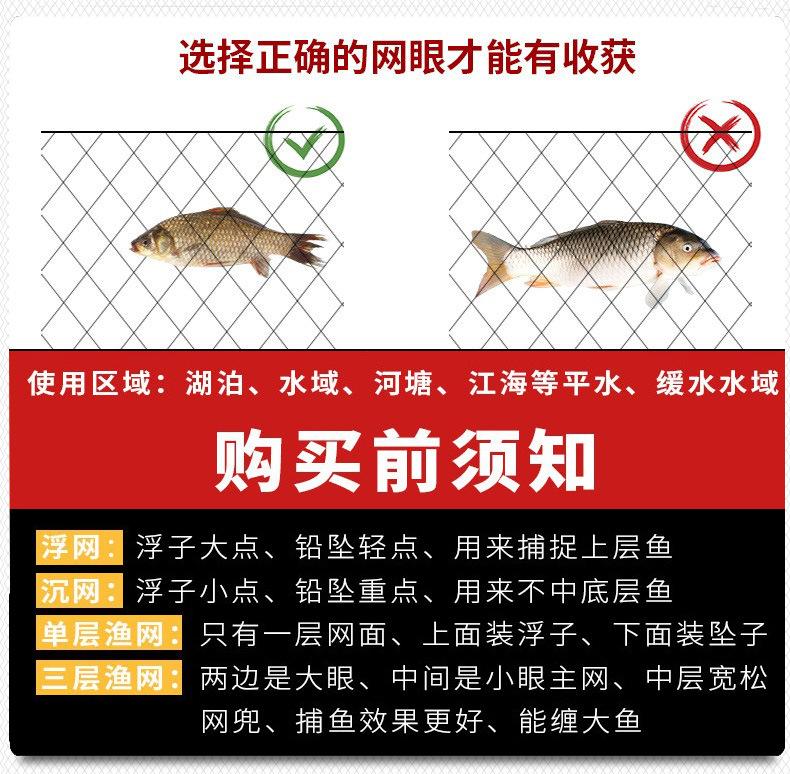 细7.jpg