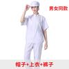Conjunto de Roupas de Trabalho de Verão Personalizadas de Manga Curta, Roupas de Trabalho para Fábrica de Alimentos, Processamento OEM, Conjunto de Roupas de Trabalho Masculinas para Oficina de Fábrica